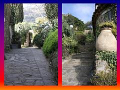 183 D24 BORMES LES MIMOSAS 2_000026